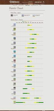 Mike Lawsons Henrys Fork Anglers Hatch Chart